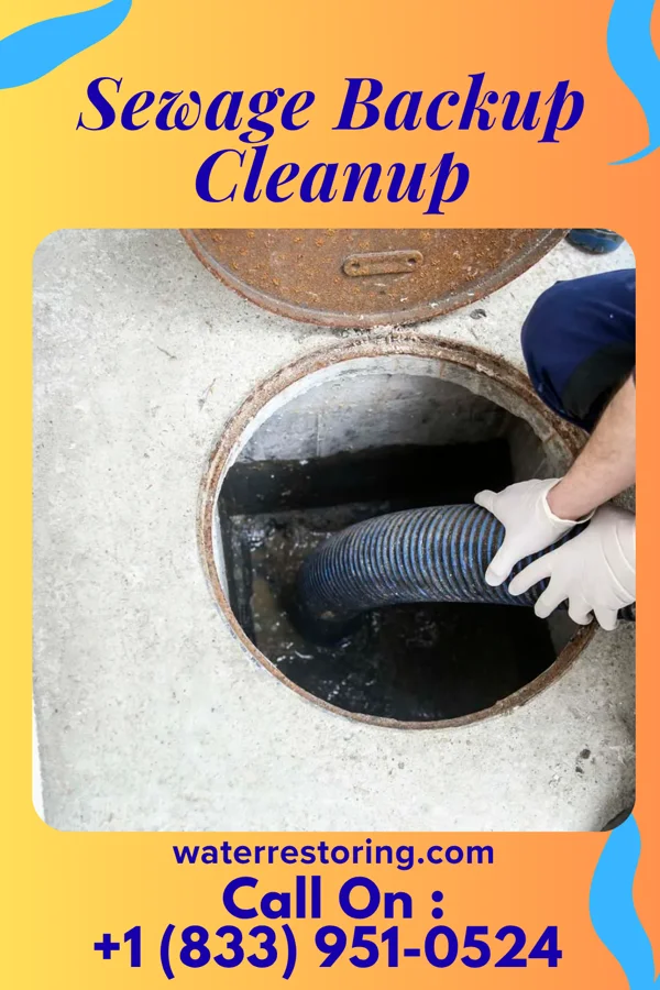 Sewage Backup Cleanup in Albers, IL