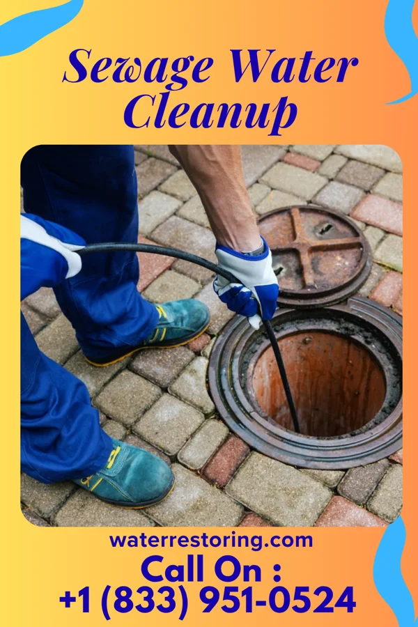 Sewage Water Cleanup in Albers, IL